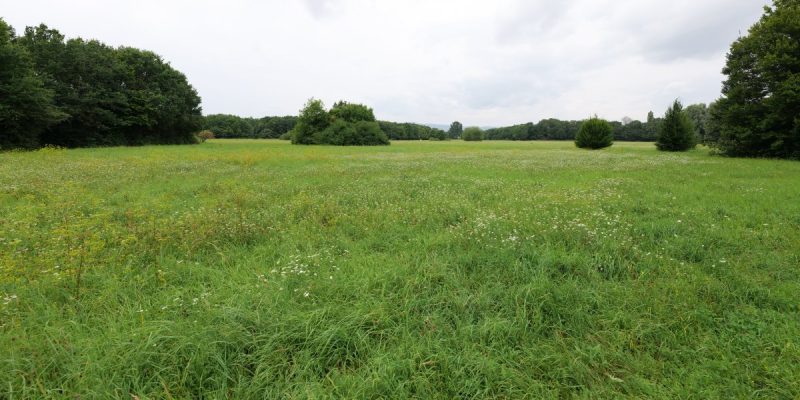 Volkspark Niddatal