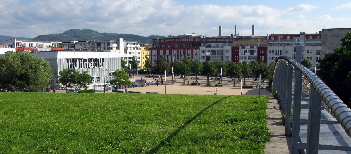 Gründach der Turnhalle