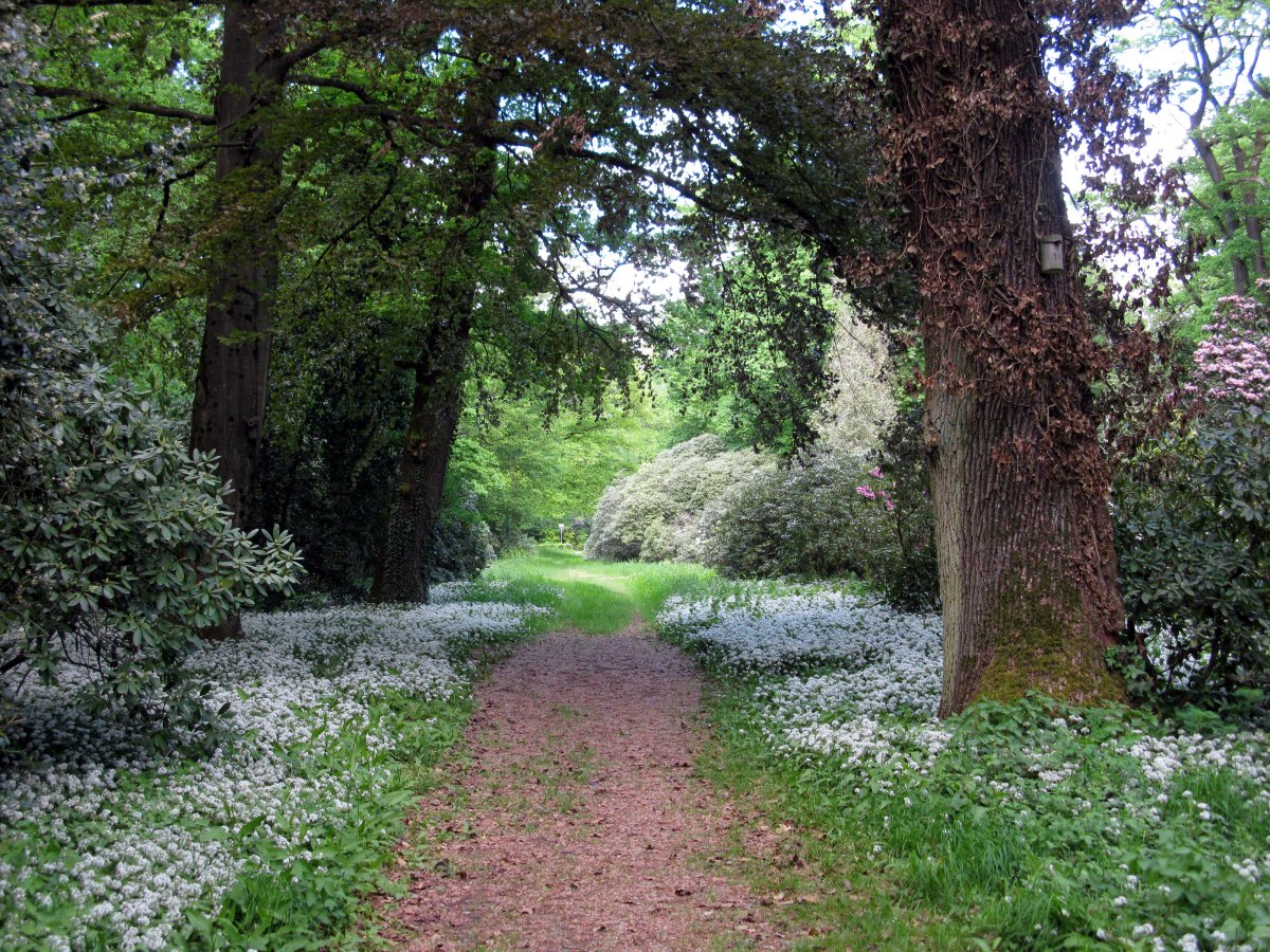 Möslepark