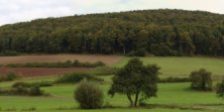 Haimberg bei Mittelrode