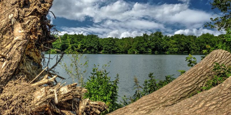 Emscherbruch mit Ewaldsee