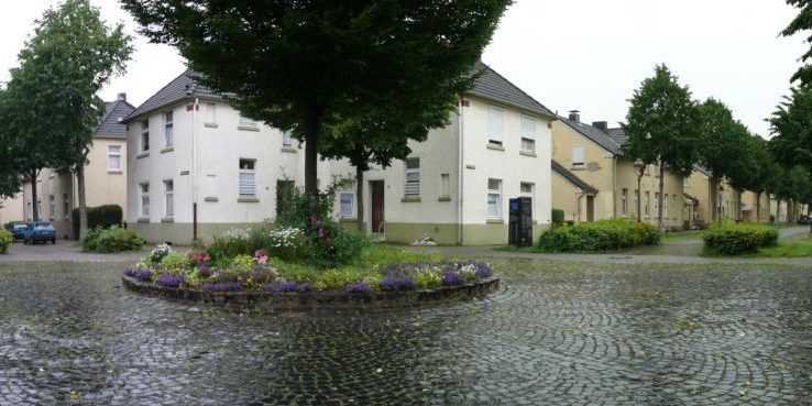 Flöz Dickebank