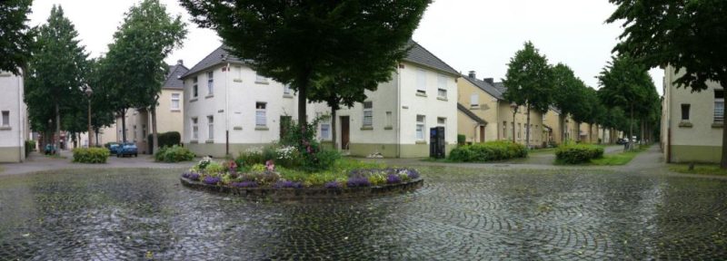 Flöz Dickebank