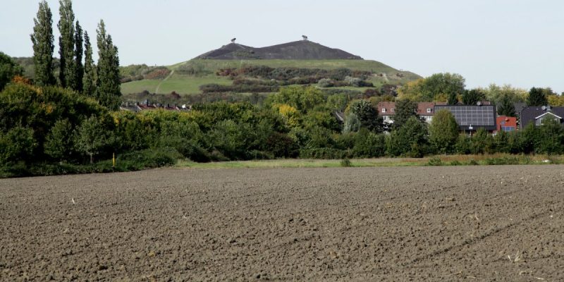 Halde Rungenberg