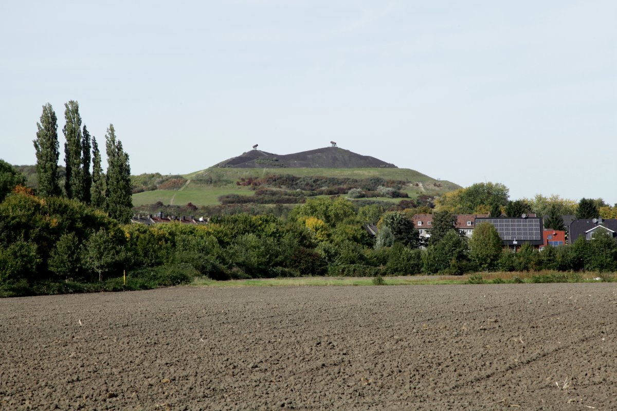 Halde Rungenberg