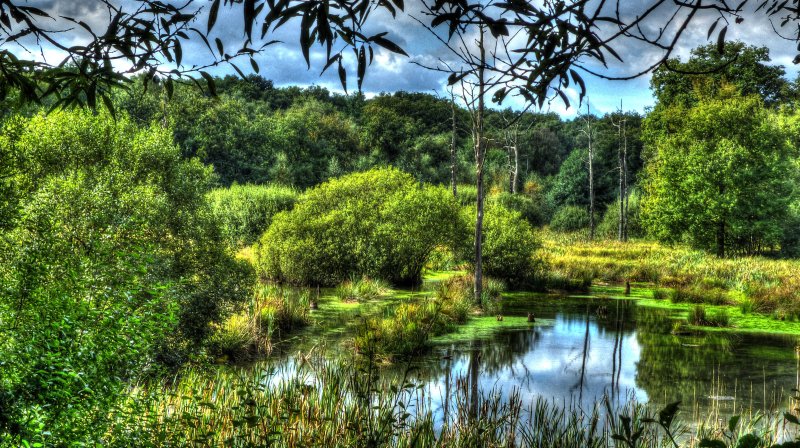 Im Emscherbruch, nördlich des Ewaldsees