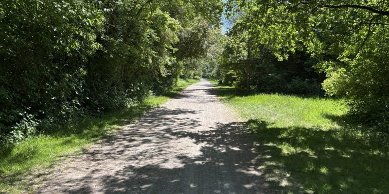 Naturschutzgebiet Ehemaliges Floatglas-Gelände
