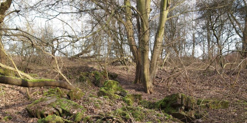 Naturschutzgebiet Hafen Grimberg