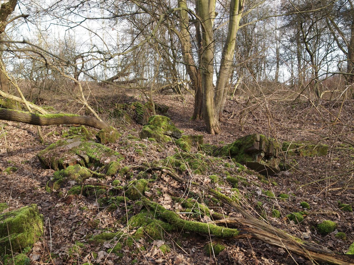 Naturschutzgebiet Hafen Grimberg
