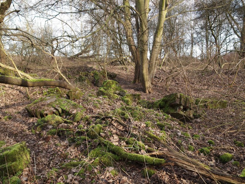 Naturschutzgebiet Hafen Grimberg