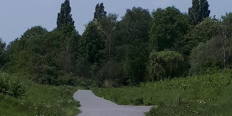Zeche Hugo Schachtanlage 2/5