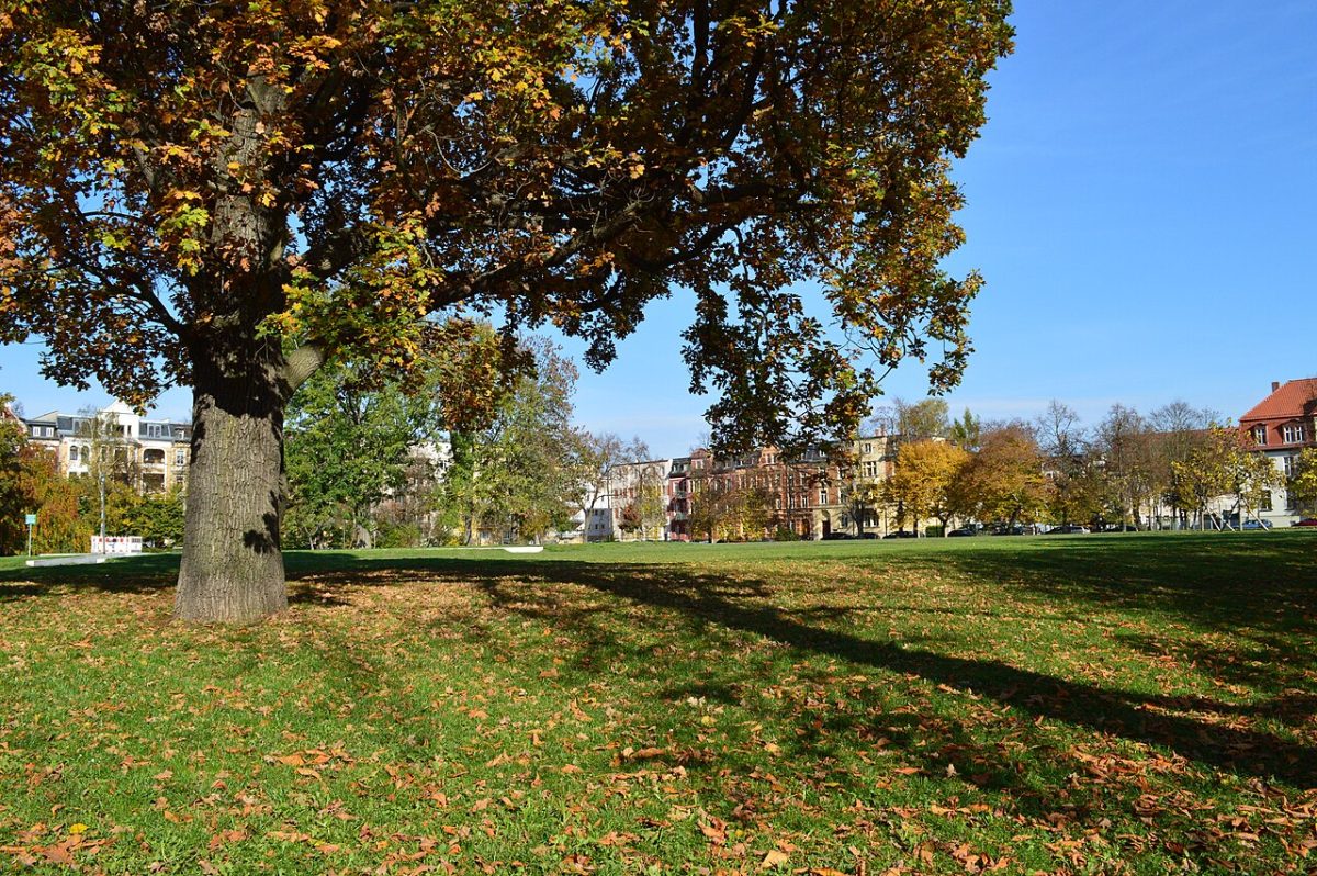 Biermannplatz