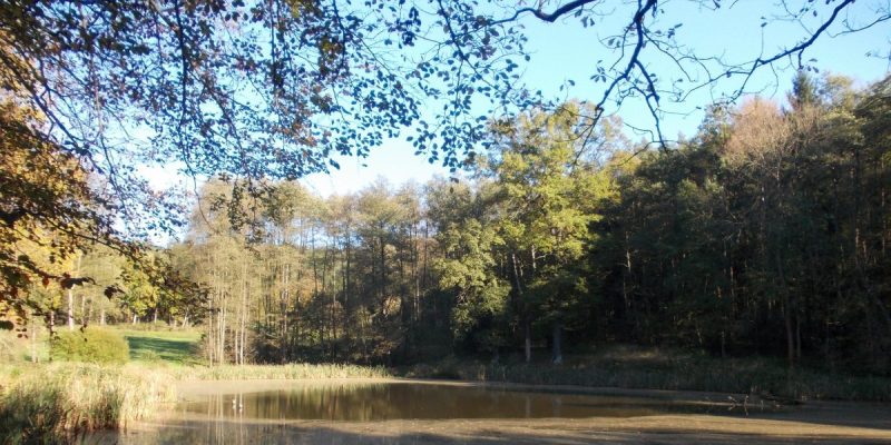 Braupfannenteich
