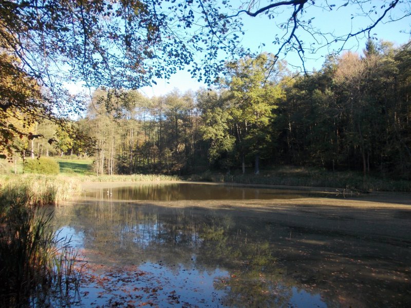 Braupfannenteich
