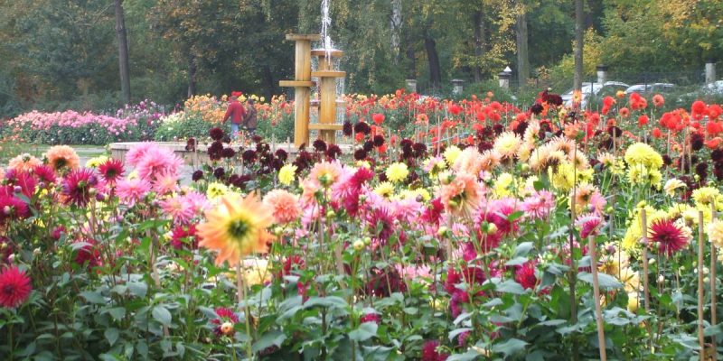 Daliengarten Gera