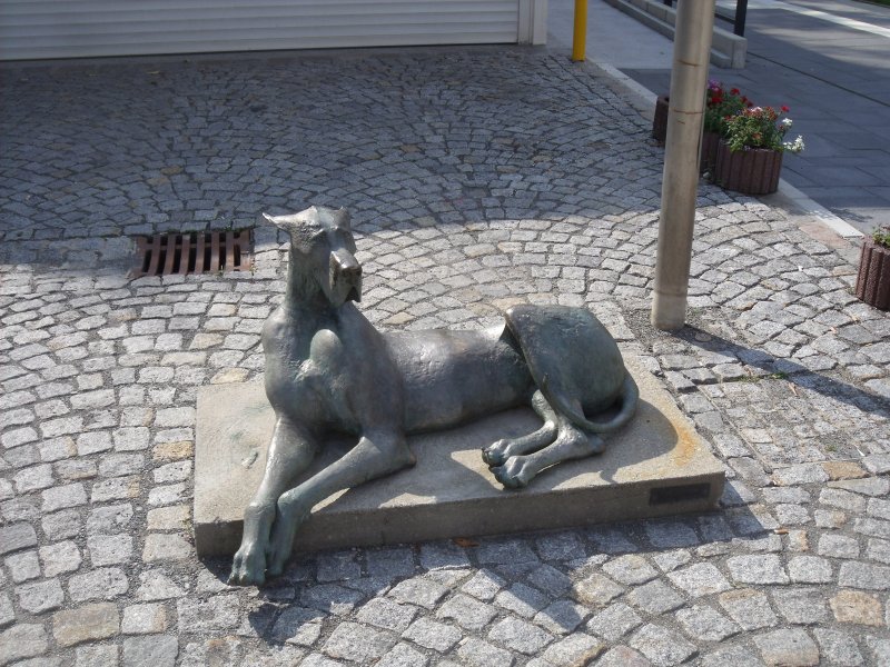 Dogge