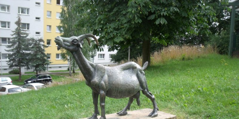 Ziege