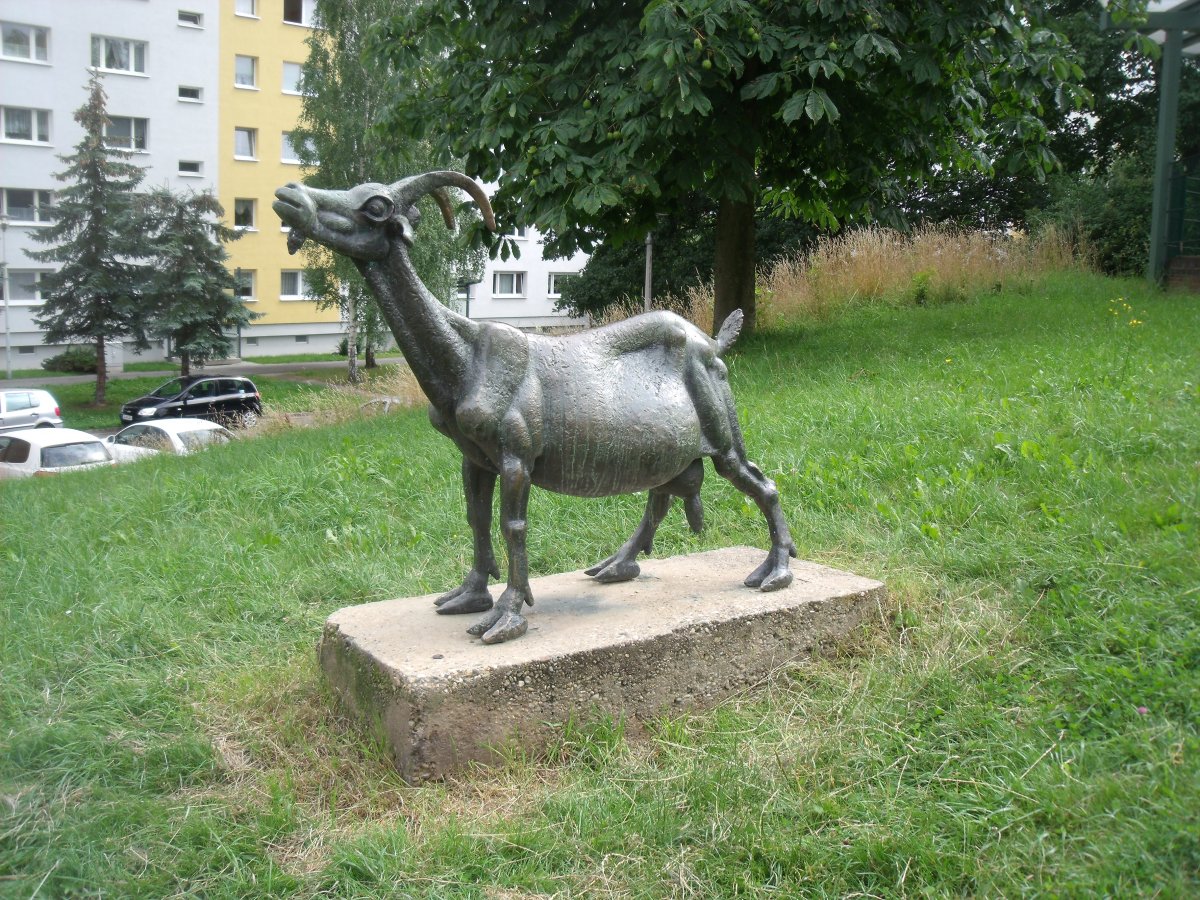 Ziege