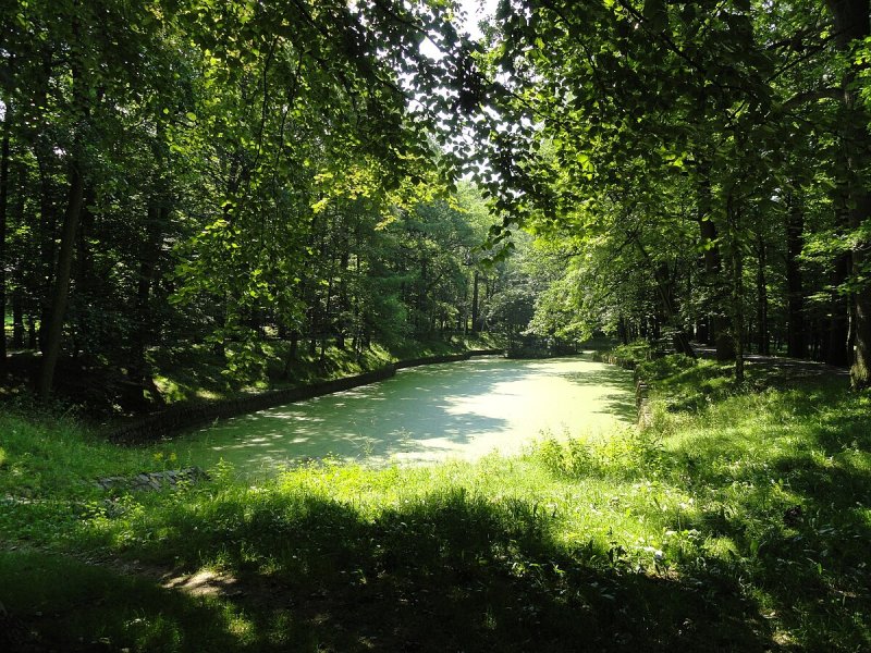 Park imienia Andrzeja Błachanca