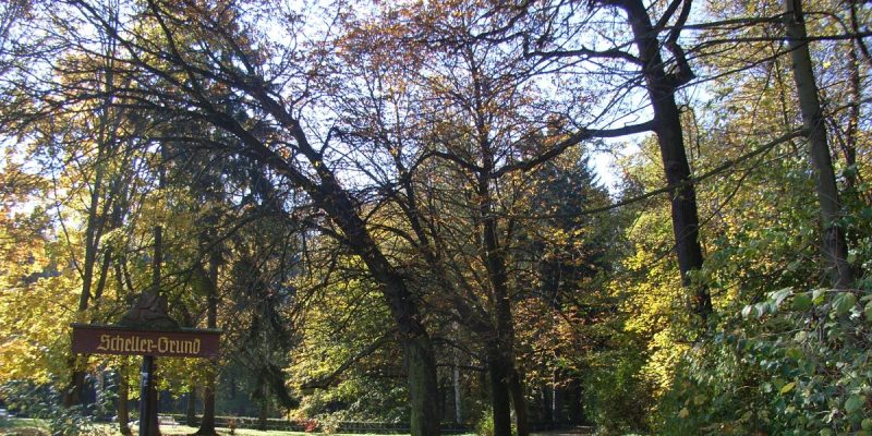 Scheller-Grund