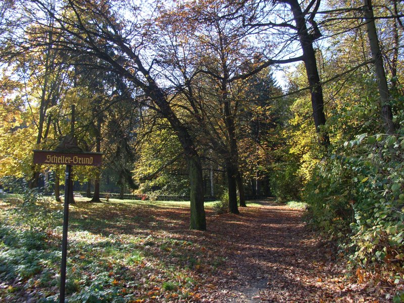 Scheller-Grund