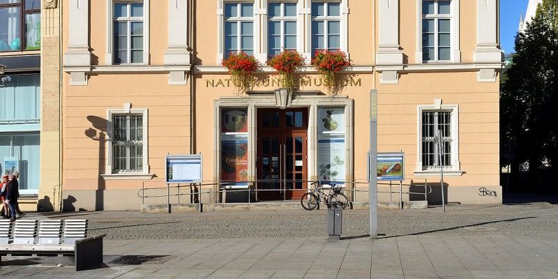 Highlights von Görlitz