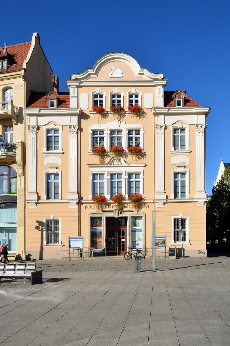 Senckenberg Museum für Naturkunde Görlitz