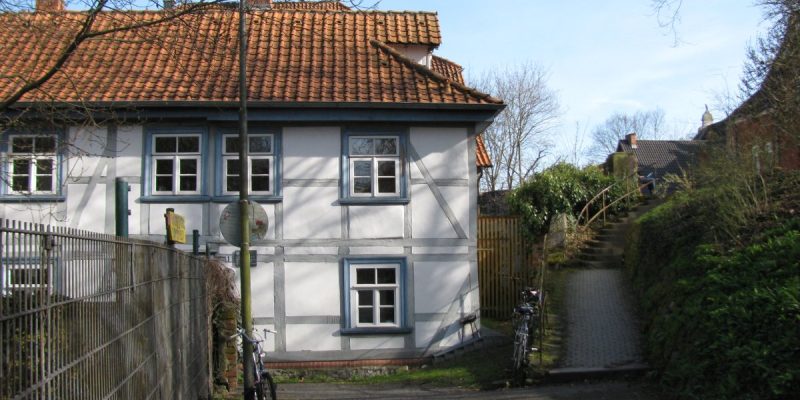 älteste Linde auf dem Stadtwall