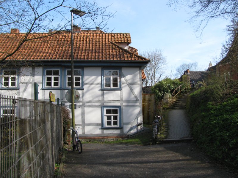 älteste Linde auf dem Stadtwall