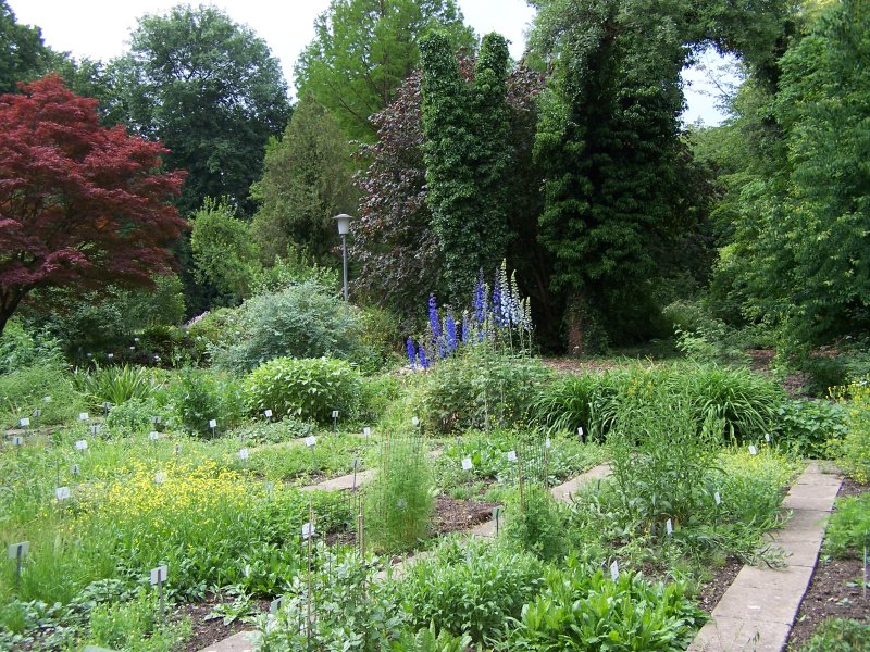 Alter Botanischer Garten