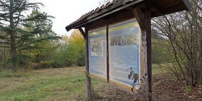 Forstbotanischer Garten