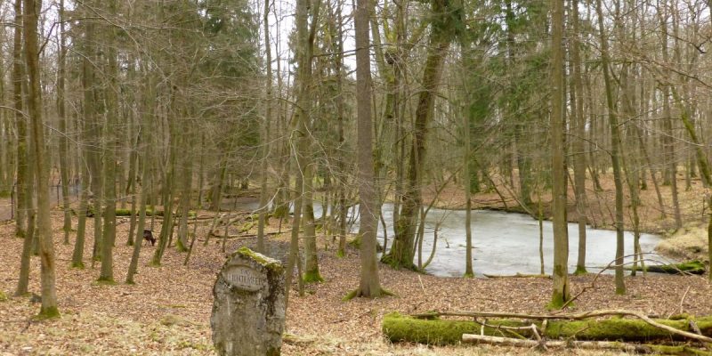 Göttinger Wald (Nordost)