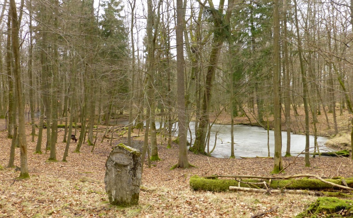 Göttinger Wald (Nordost)