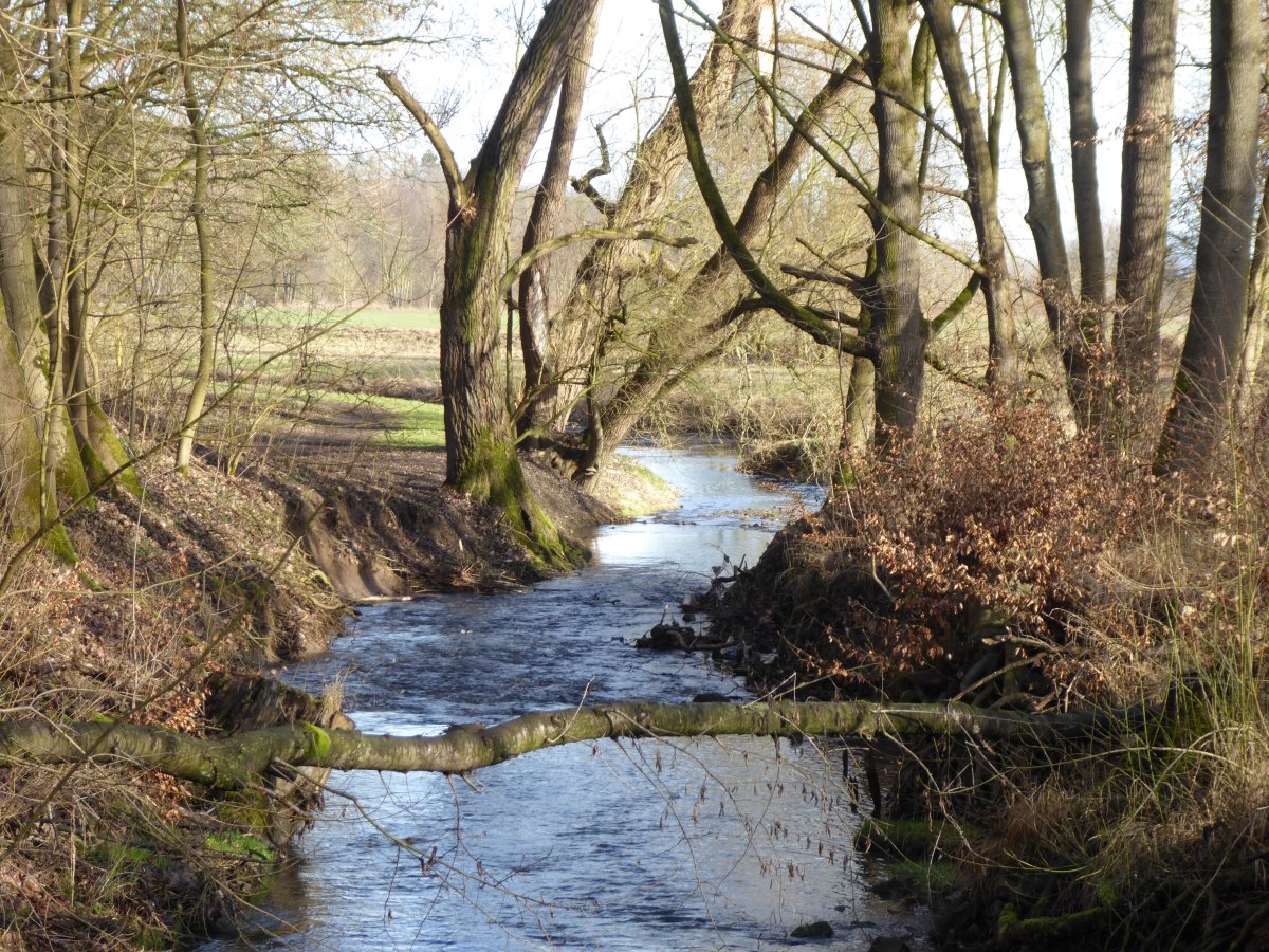 Gronespring