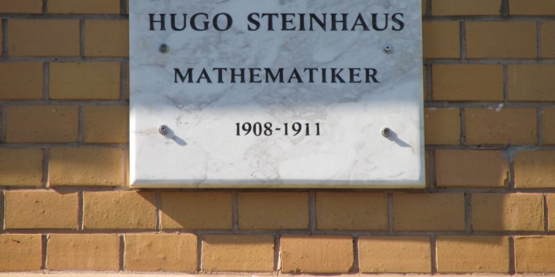 Hugo Steinhaus