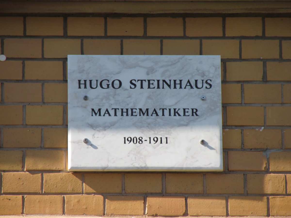 Hugo Steinhaus