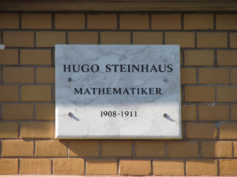 Hugo Steinhaus