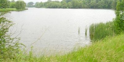 Kiessee