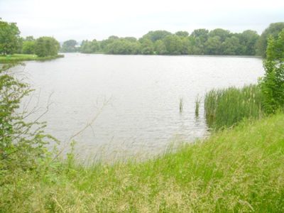 Kiessee