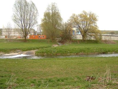 Lutter
