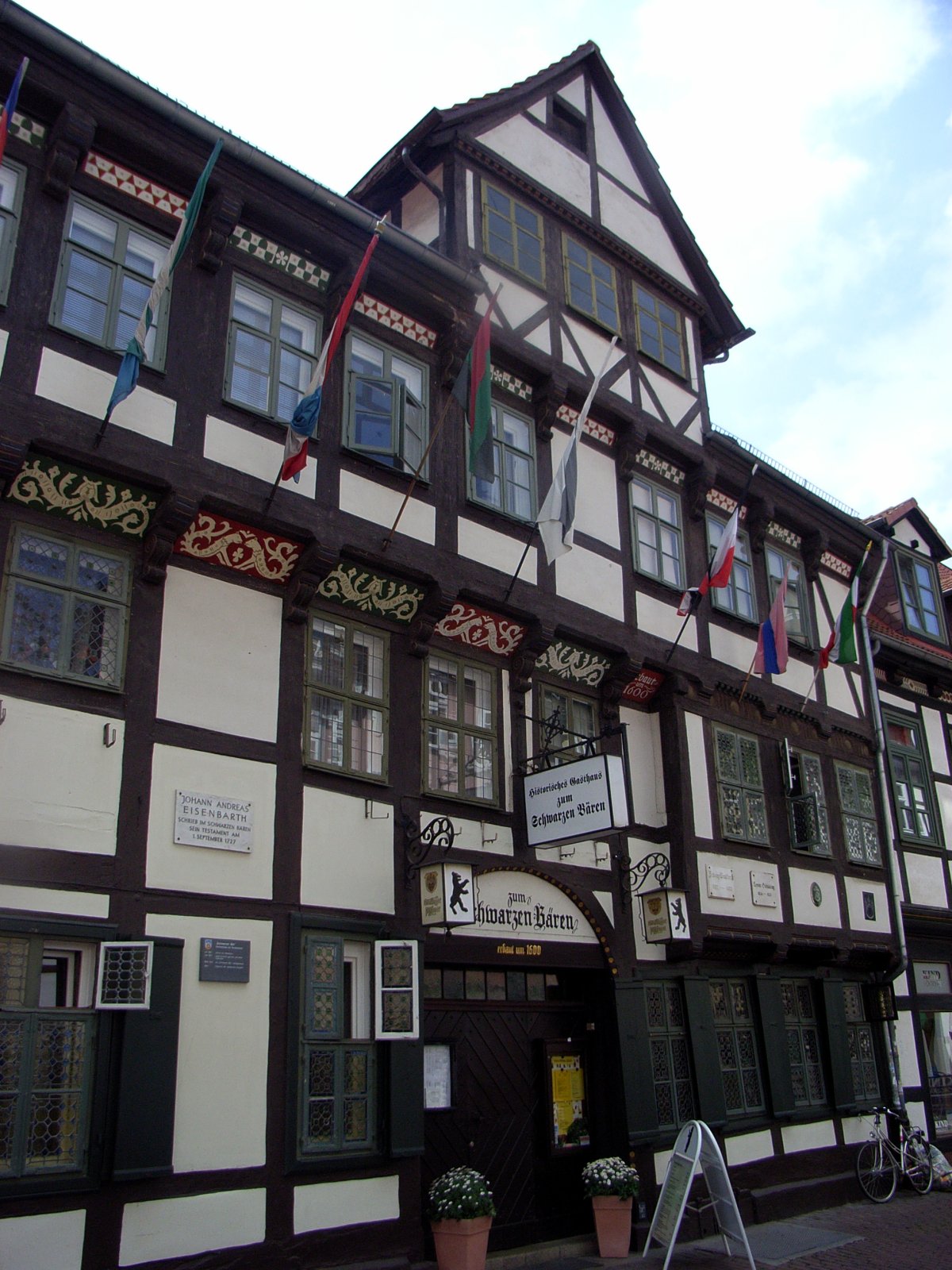 Schwarzer Bär