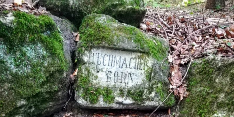 Tuchmacherborn