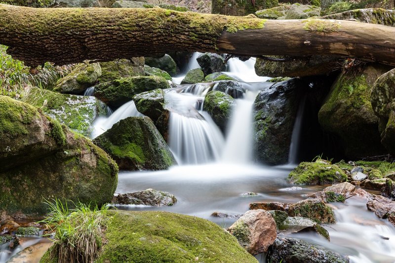 Harz National Park