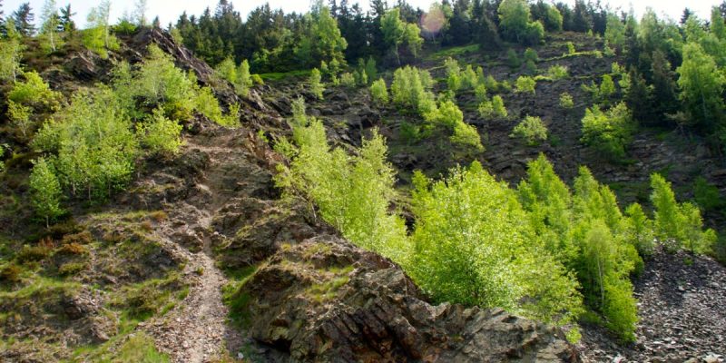 Naturschutzgebiet Blockschutthalden am Rammelsberg