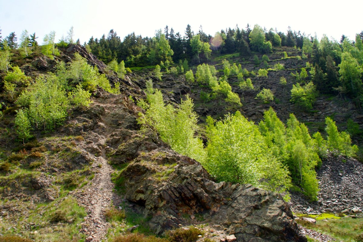 Naturschutzgebiet Blockschutthalden am Rammelsberg