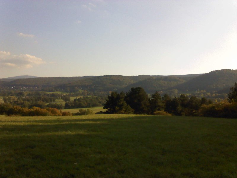 Naturschutzgebiet Östlicher Langenberg