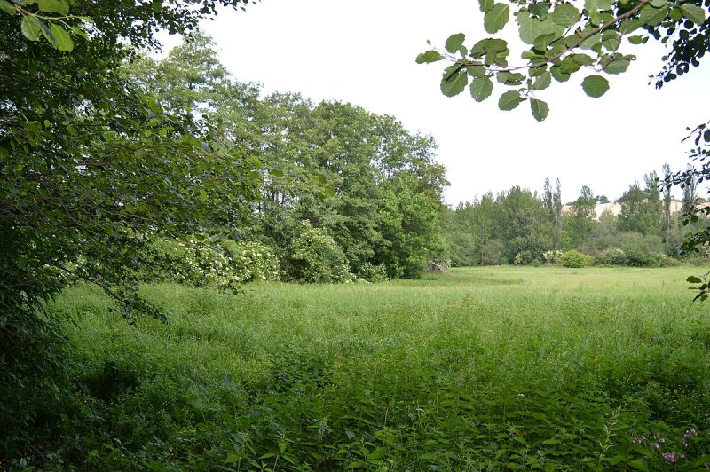 Naturschutzgebiet Tönneckenkopf - Röseckenbach