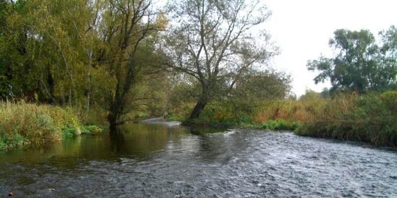 Oker- und Eckertal in den Landkreisen Goslar und Wolfenbüttel