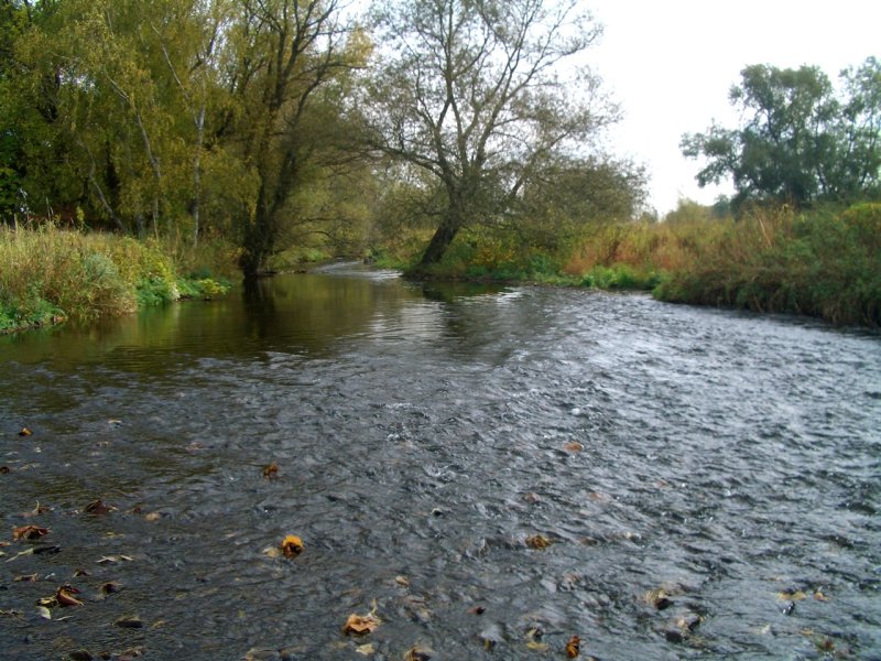 Oker- und Eckertal in den Landkreisen Goslar und Wolfenbüttel