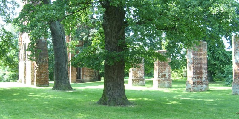 Klosterruine Eldena